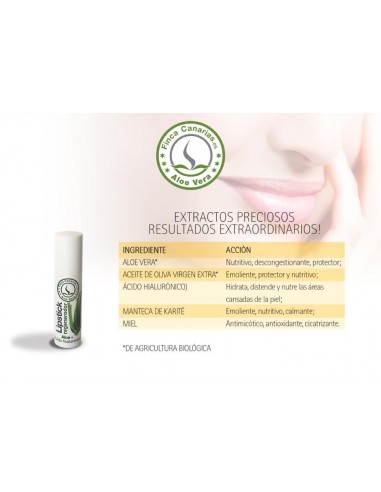 Aloe Vera Lip Protector Anleitung
