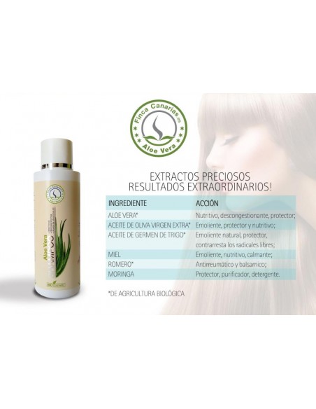 Champú