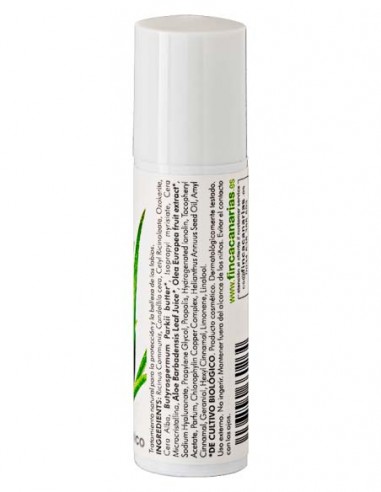Aloe Vera Lippenschutz