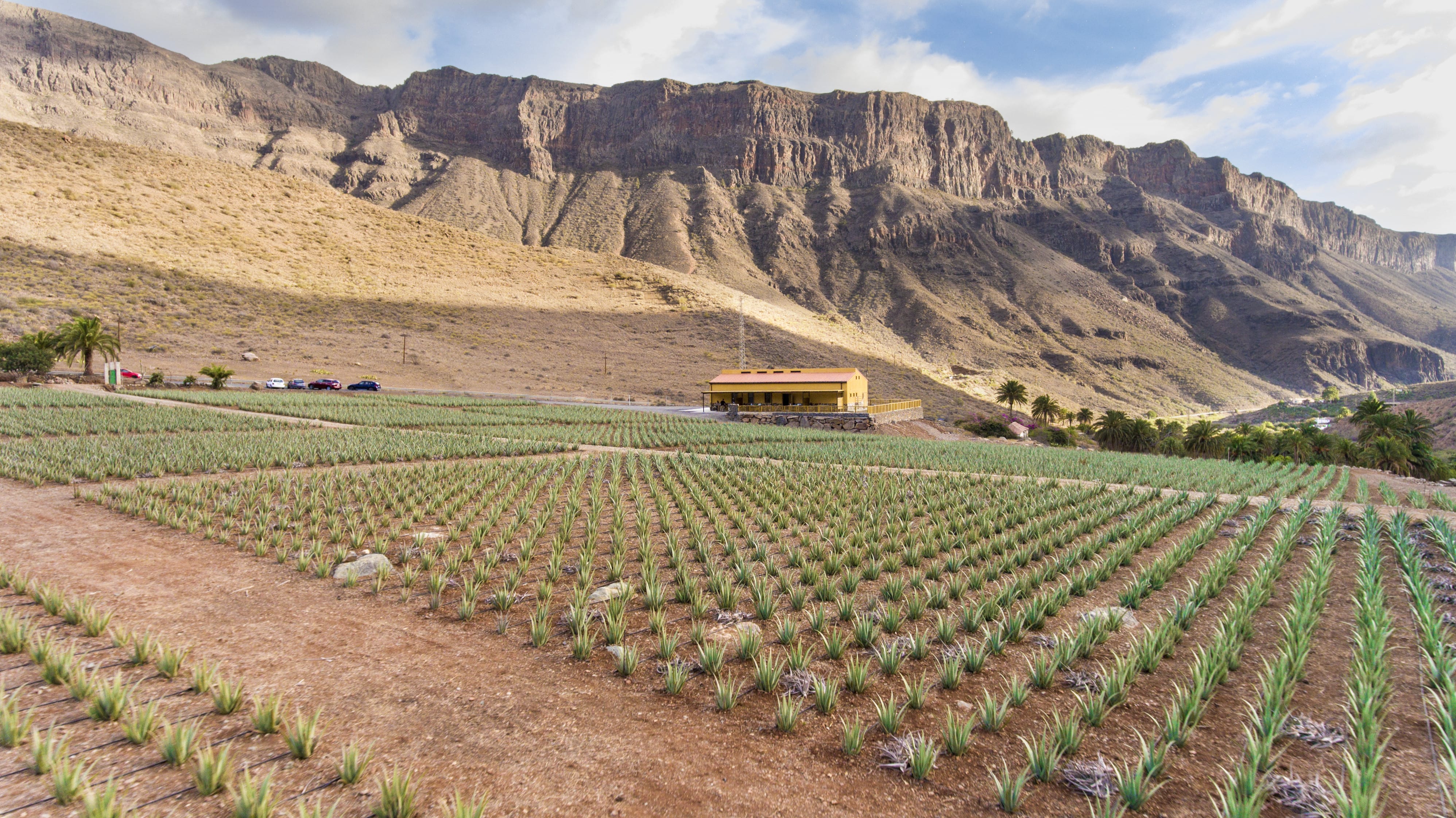 Finca Fataga
