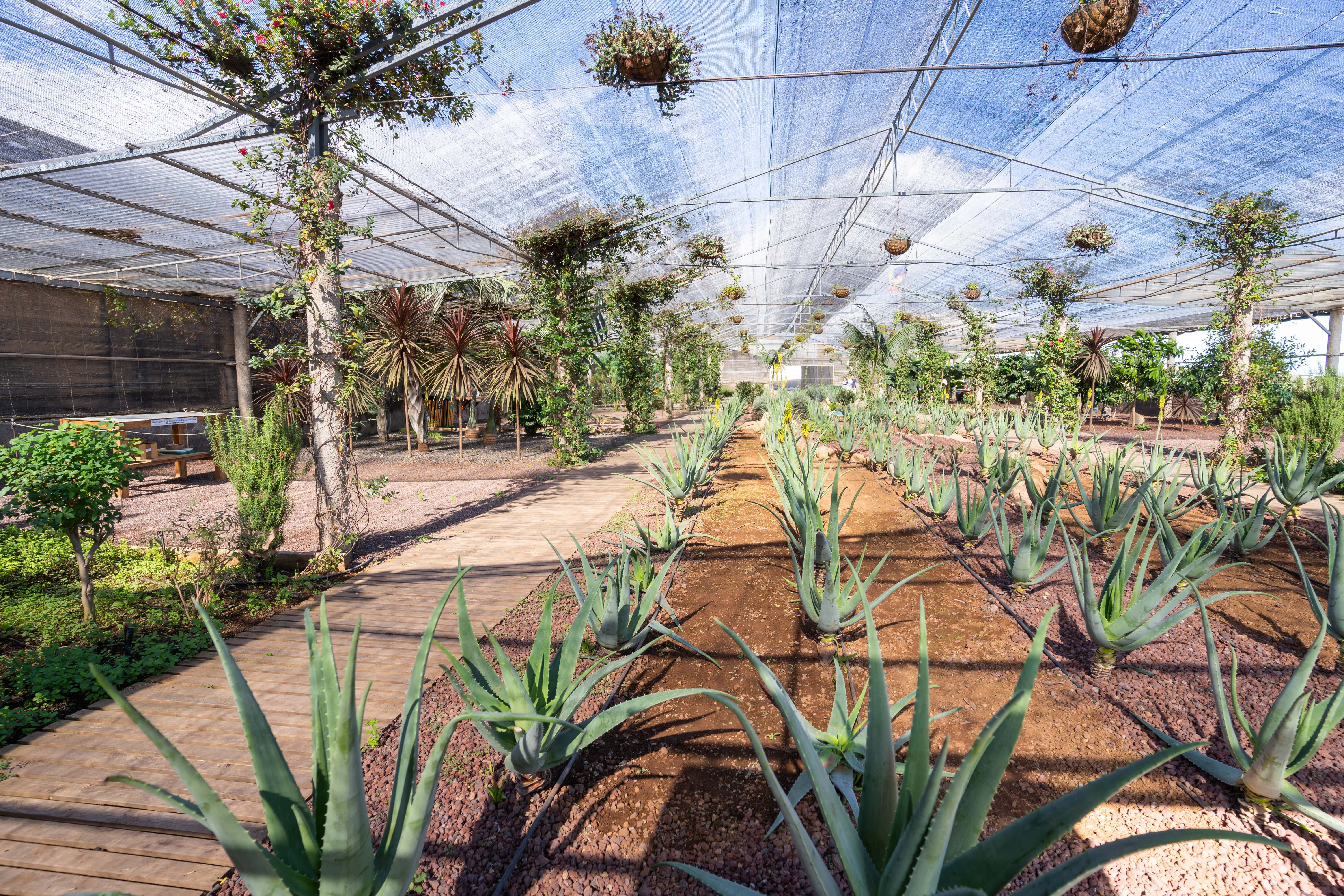 Finca Güímar