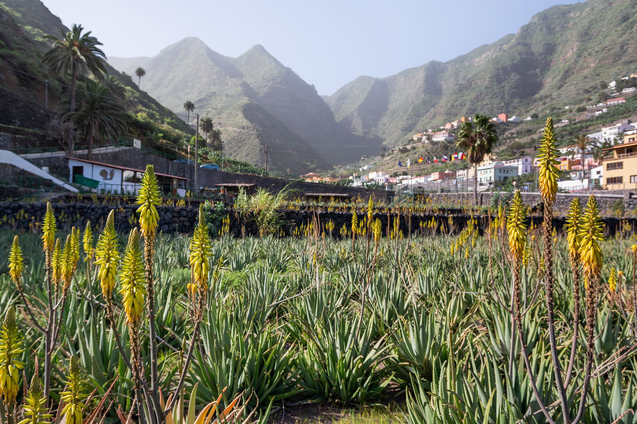 Finca Hermigua