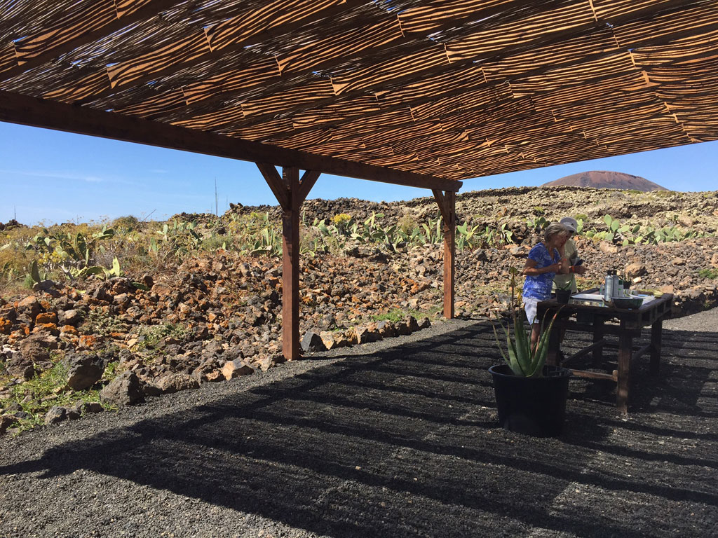 Finca La Oliva