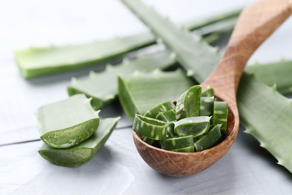 Verschenken Sie Aloe-Vera-Produkte zu Weihnachten