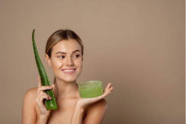 Kanarien-Aloe-Vera