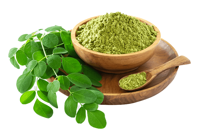 Moringa