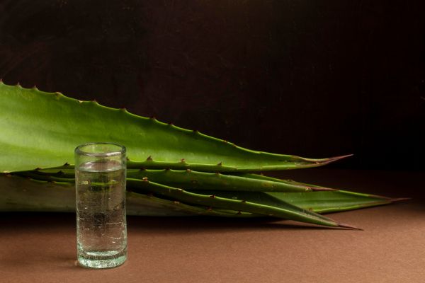 kostliche zusammenstellung trinken mezcal