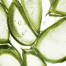 Corteza de aloe vera