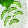 Corteza de aloe vera