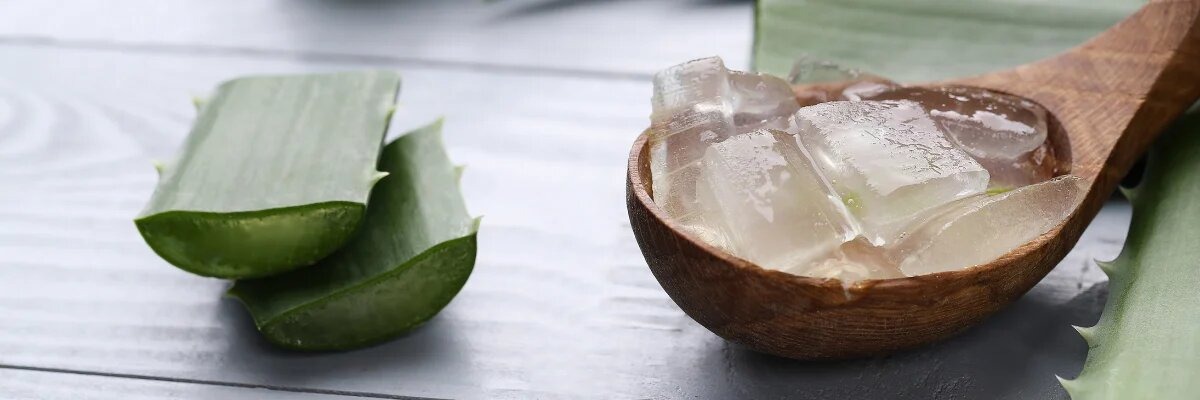 Aloin: der Hauptbestandteil der Aloe Vera
