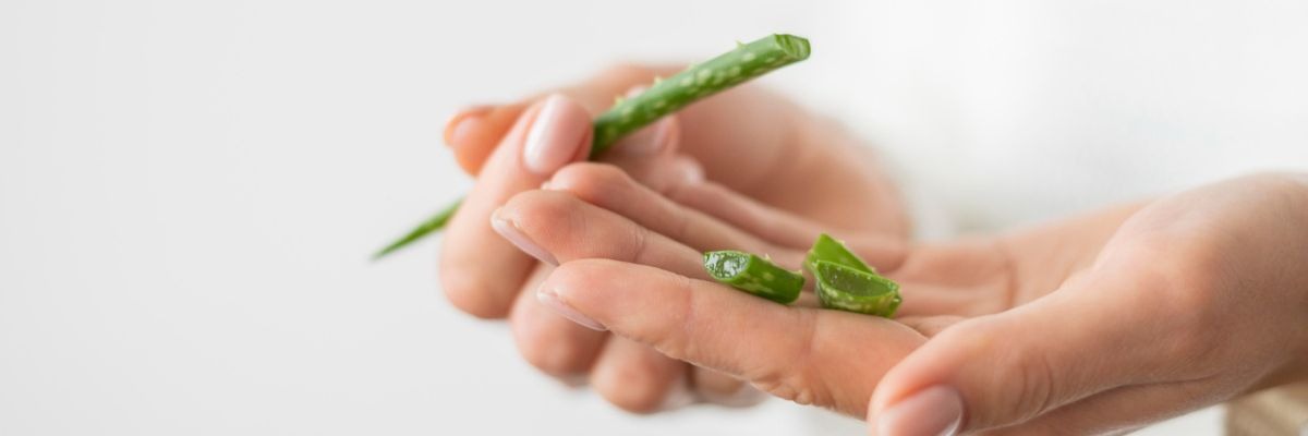 3 gesunde Rezepte mit Aloe Vera zum Essen