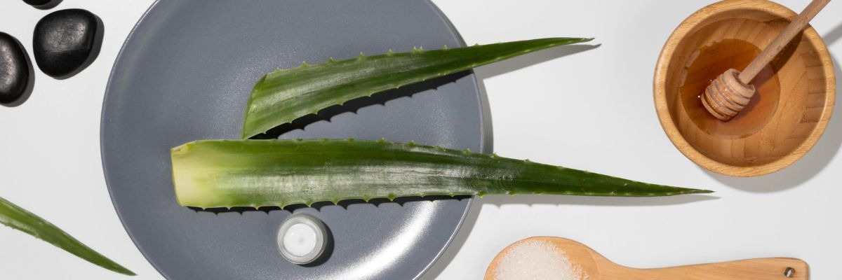 Aloe Vera für Nägel