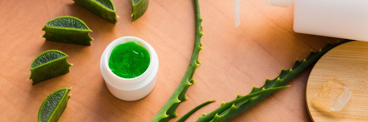 Aloe Vera zur Beseitigung von Unreinheiten im Gesicht