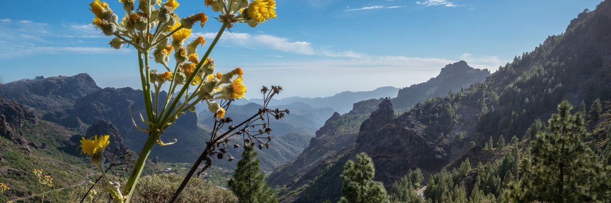 10 Places to visit in Gran Canaria