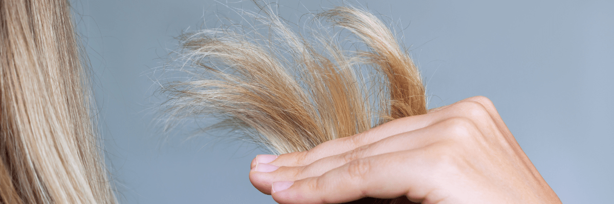 Aloe vera for split ends: keep your hair healthy