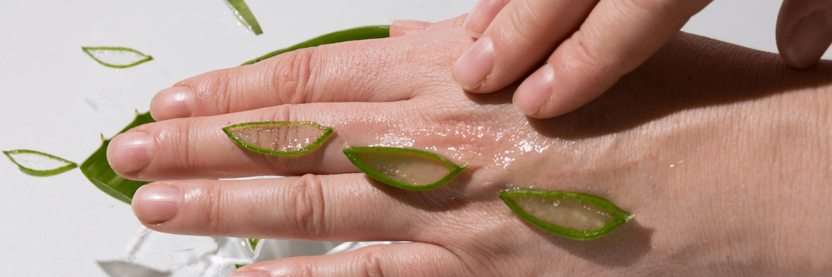 The role of aloe vera in skin hydration
