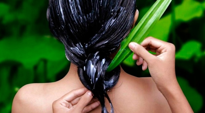 Aloe Vera und Alopezie, Natur gegen Haarausfall