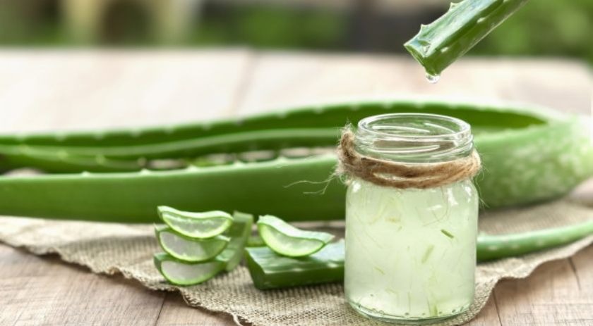 Aloe vera for weight loss