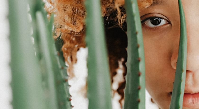 Natural vs. organic cosmetics. What’s the difference?