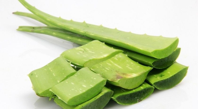 Benefits of aloe vera for oily skin 