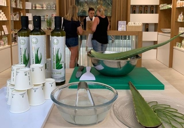 Fünf Rezepte für Aloe-Vera-Saft
