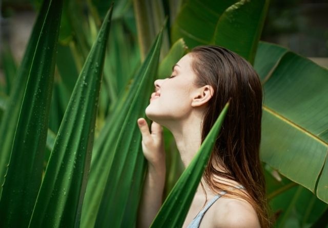 Die besten Aloe Vera Produkte