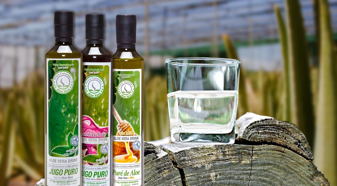 Warum Aloe Vera trinken?