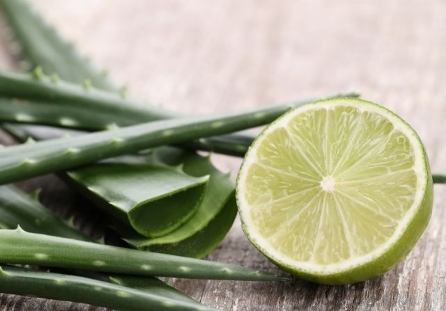 Natural treatment for psoriasis with aloe vera
