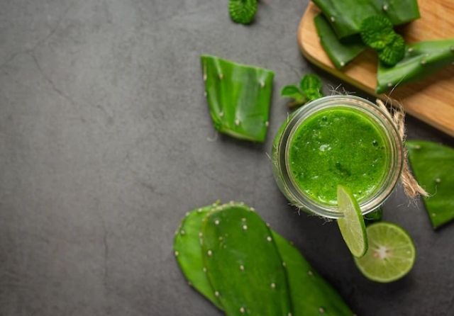 Darmflora und Aloe: Die Bedeutung der Darmgesundheit