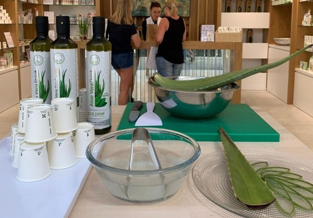 Finca Canarias Aloe Vera für Diabetes