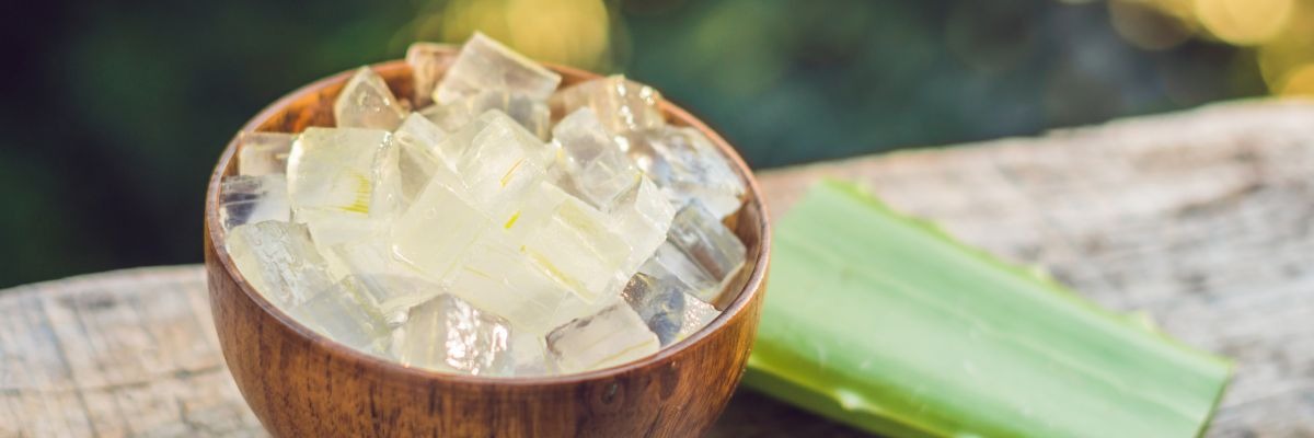 Aloe Vera zur Heilung von Tätowierungen