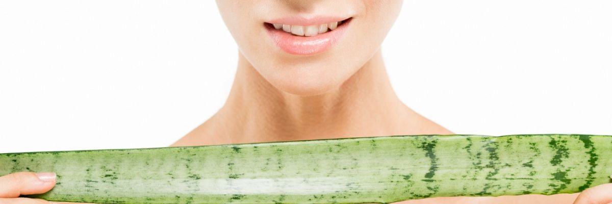 Gesünderes Lächeln mit Aloe Vera: das beste Mittel gegen Mund, Wunden und empfindliches Zahnfleisch