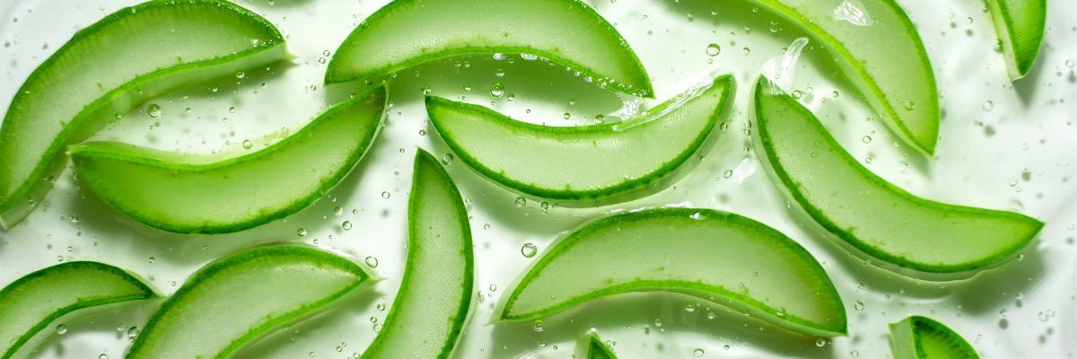 Vorteile von Aloe Vera für Kinder