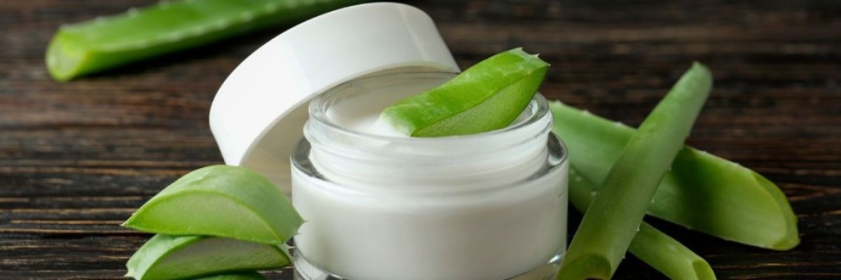 5 kanarische Aloe-Vera-Produkte, die Sie bei einem Besuch auf den Inseln unbedingt probieren sollten