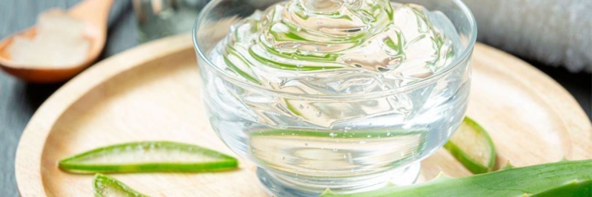 Wie Aloe Vera zur Erhaltung der Augengesundheit beitragen kann