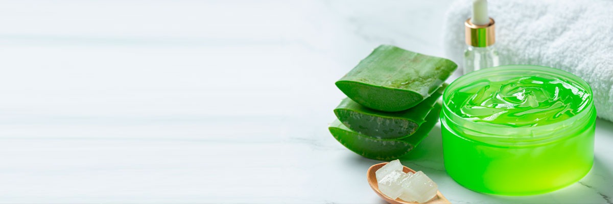 Aloe Vera Hausmittel gegen Krampfadern