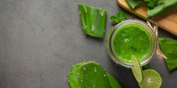 Gut flora and aloe: The importance of taking care of your gut